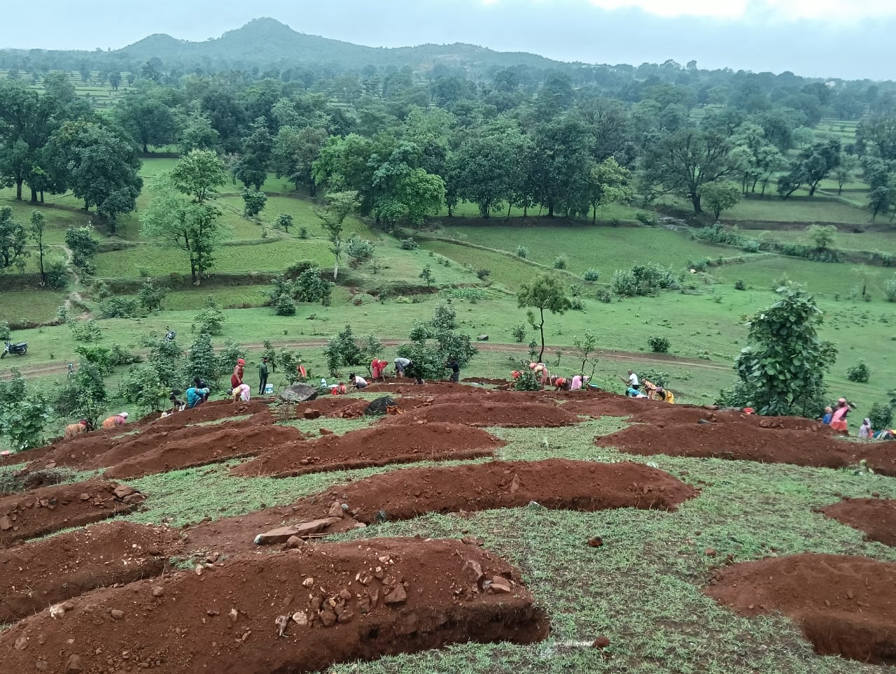 जांजगीर : बलौदा की पहाड़ियों पर स्टेगर्ड कंटूर ट्रेंच निर्माण से हरियाली और जल संरक्षण की ओर बढ़ते कदम