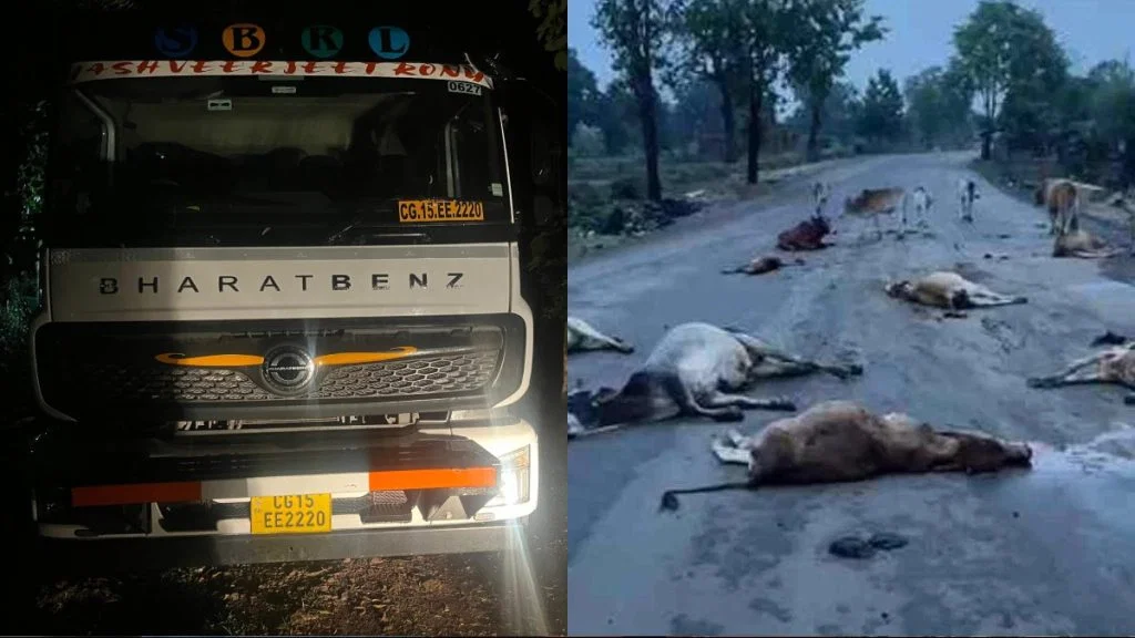Bilaspur news:तेज रफ्तार ट्रेलर ने 17 मवेशियों को रौंदा, आरोपी ड्राइवर चढ़ा पुलिस के हत्थे 