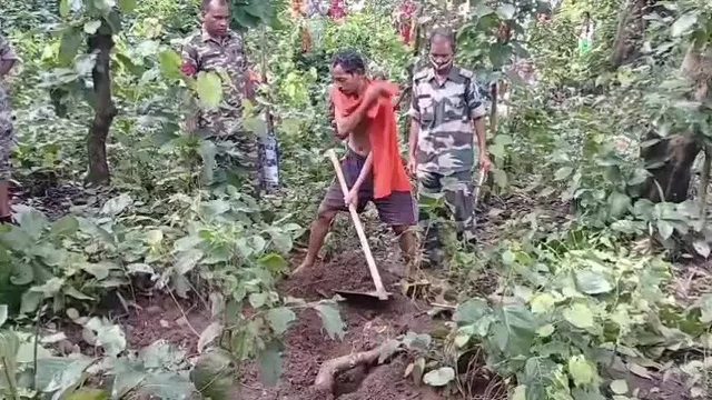 BREAKING NEWS : लकड़ी लाने गए थे जंगल, पत्नी को दफनाकर घर लौट आया पति…