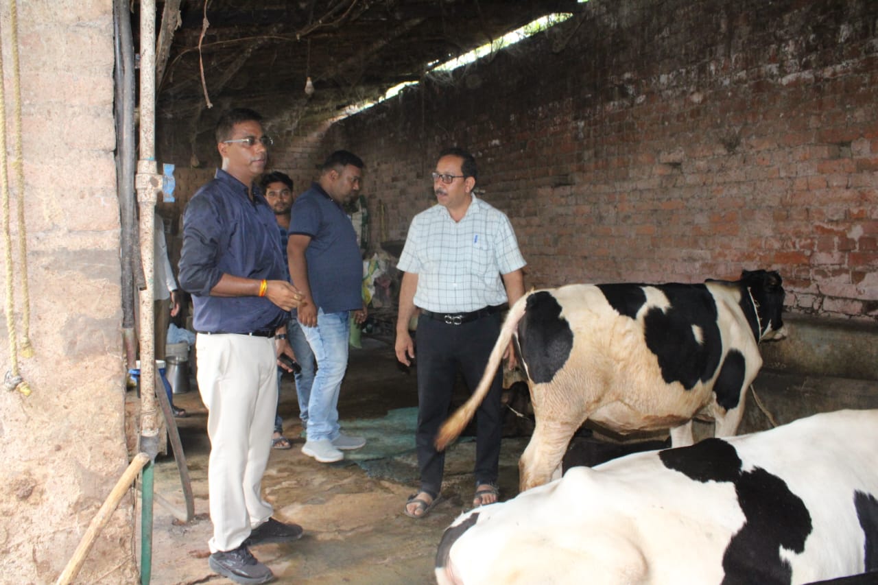 लखपति दीदी मनोरमा नायक की तरह दूसरे भी अपनाएं डेयरी व्यवसाय : कलेक्टर डॉ कन्नौजे