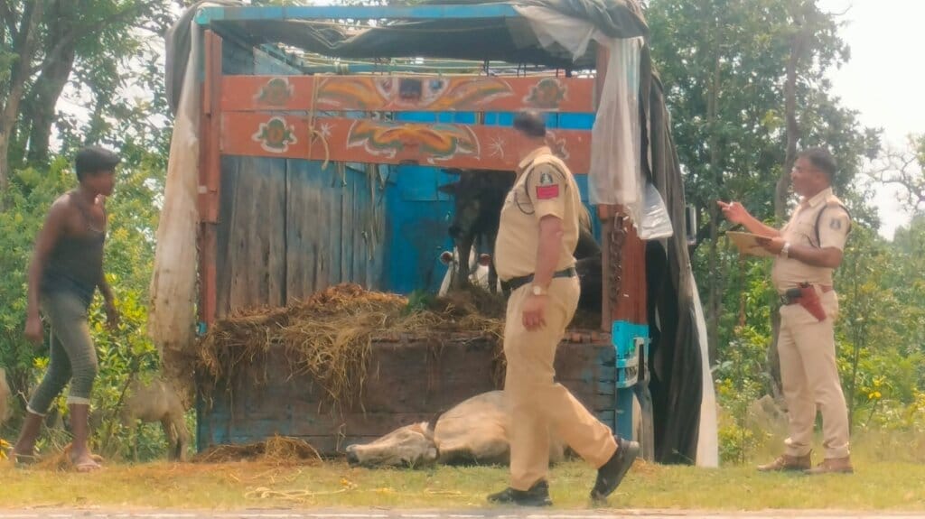 भुजनकछार में गौ तस्करी का बड़ा खुलासा, सरपंच पति शनिच राम और ग्रामीणों ने बचाई सैकड़ों गौमाताओं की जान