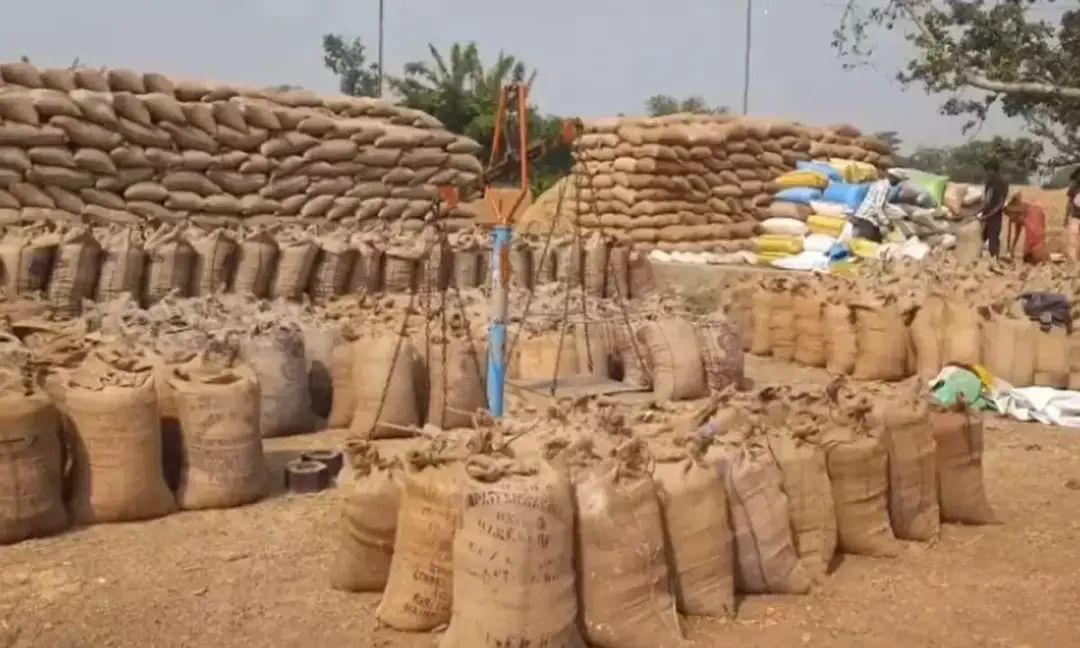 Paddy Procurement Mega Drive Continues at Full Pace in Chhattisgarh
